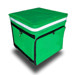 Food Delivery Bag